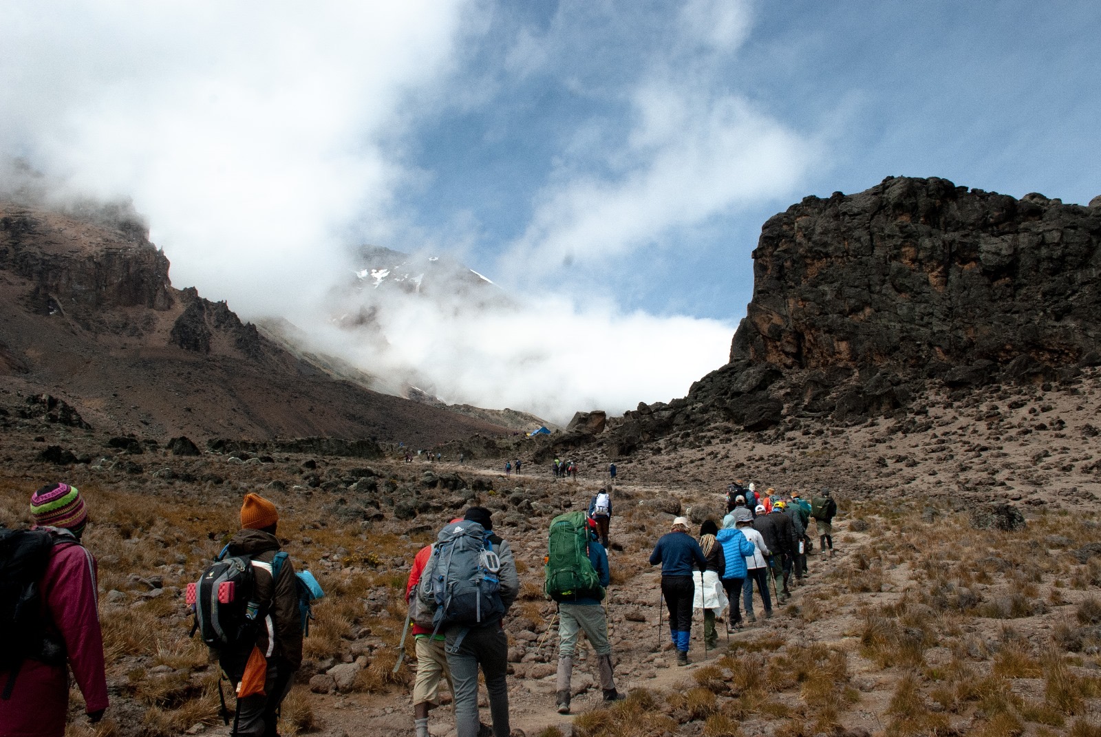 8 Days Kilimanjaro Lemosho Route