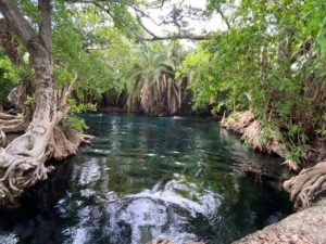 1 Day Kikuletwa Hotspring Tour