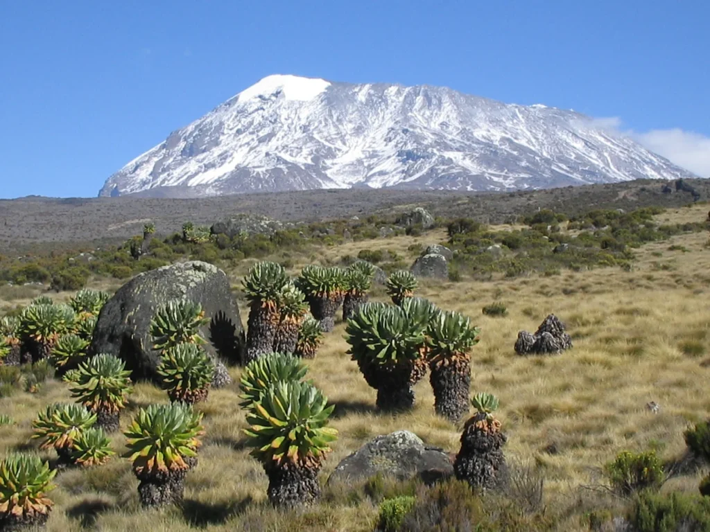 Day hike on Kilimanjaro (Marangu route)