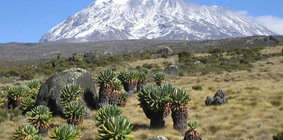 Day hike on Kilimanjaro (Marangu route)