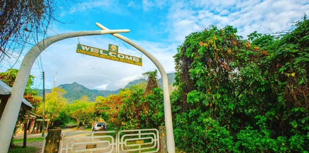 udzungwa mountains africa sana