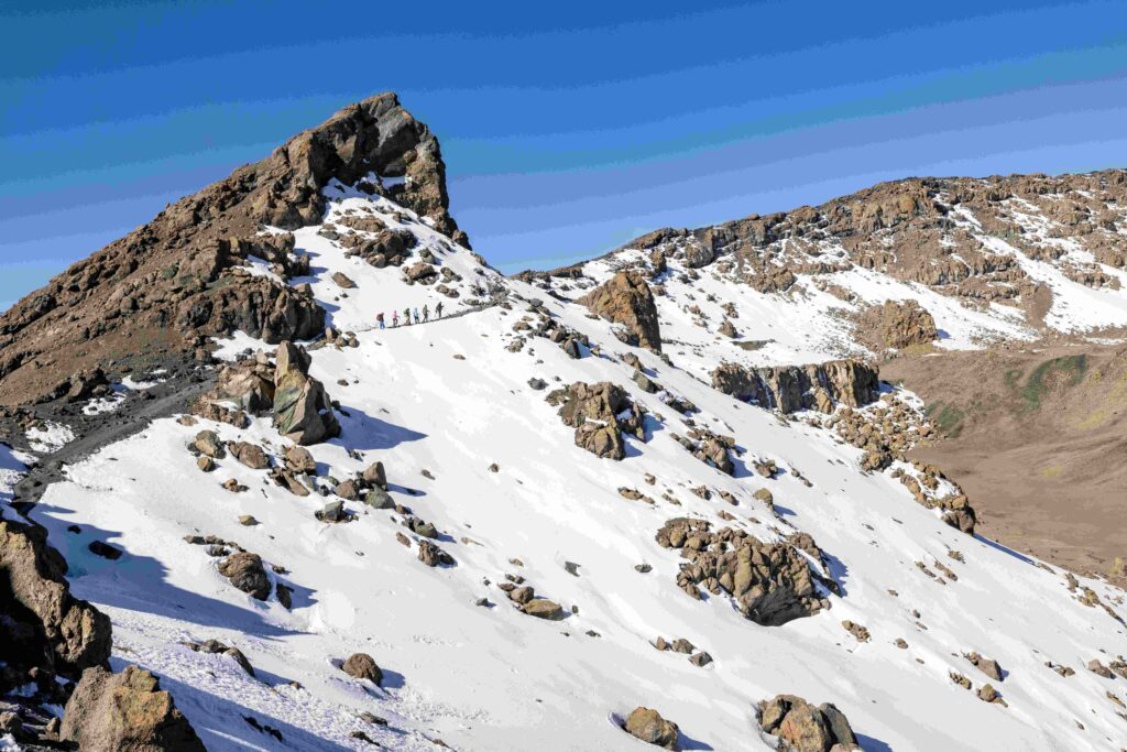 Shira Plateau Day Hike – Kilimanjaro Day Trip from Arusha