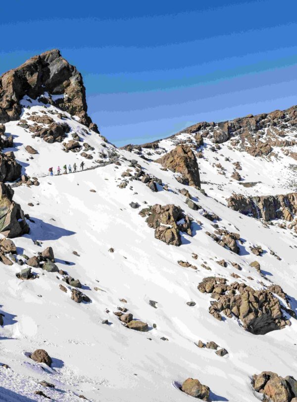 Shira Plateau Day Hike – Kilimanjaro Day Trip from Arusha