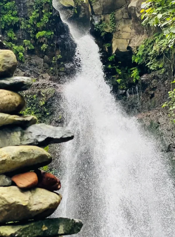 Napuru waterfalls and coffe tour