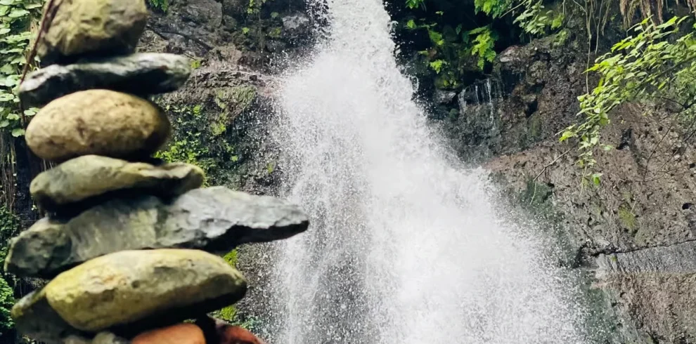 Napuru waterfalls and coffe tour