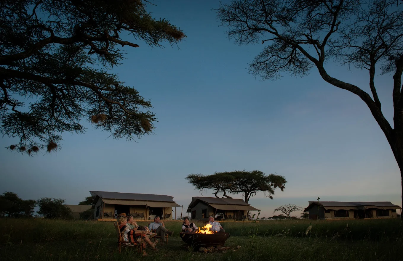 Majestic leopard in Serengeti - Tanzania Safari Tours