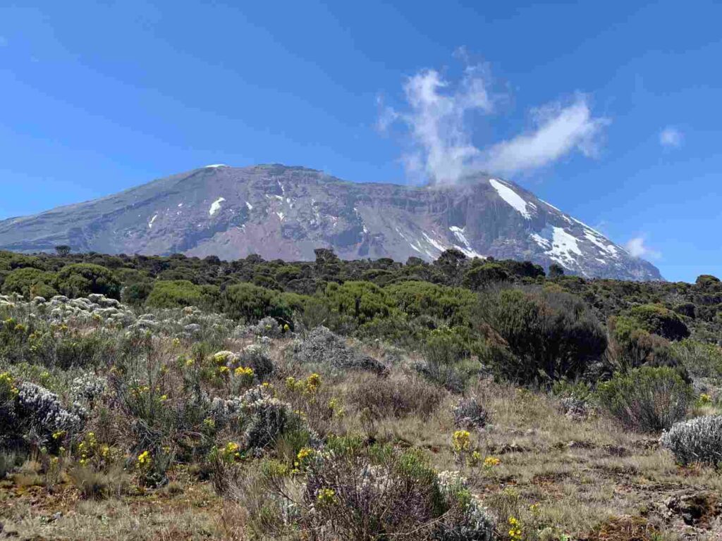 Mount Kilimanjaro