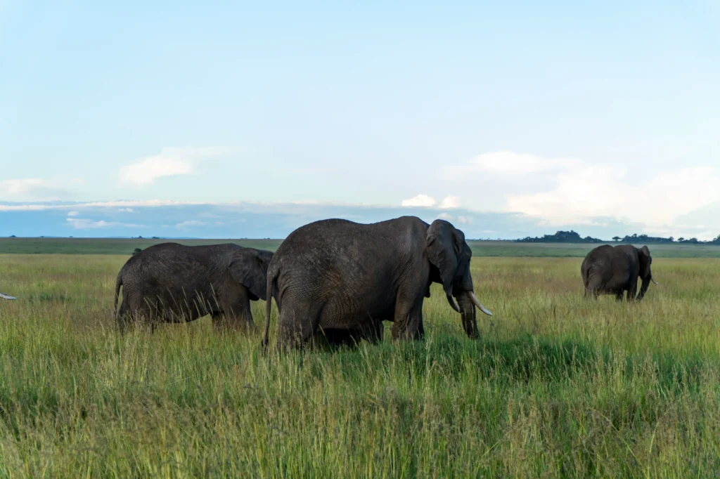 best time to visit Tanzania