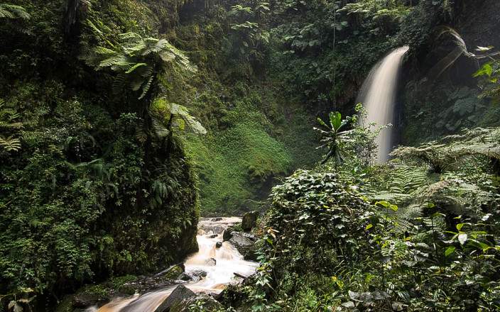 7-Day Rwanda Gorilla & Chimpanzee Safari