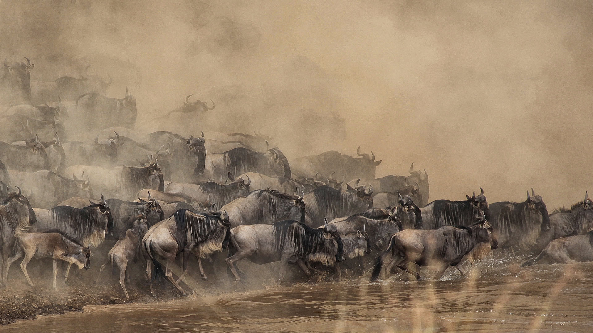 What to Wear on a Tanzania Safari