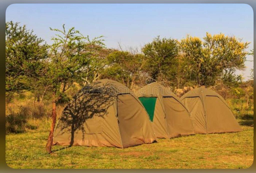 Budget camping safari