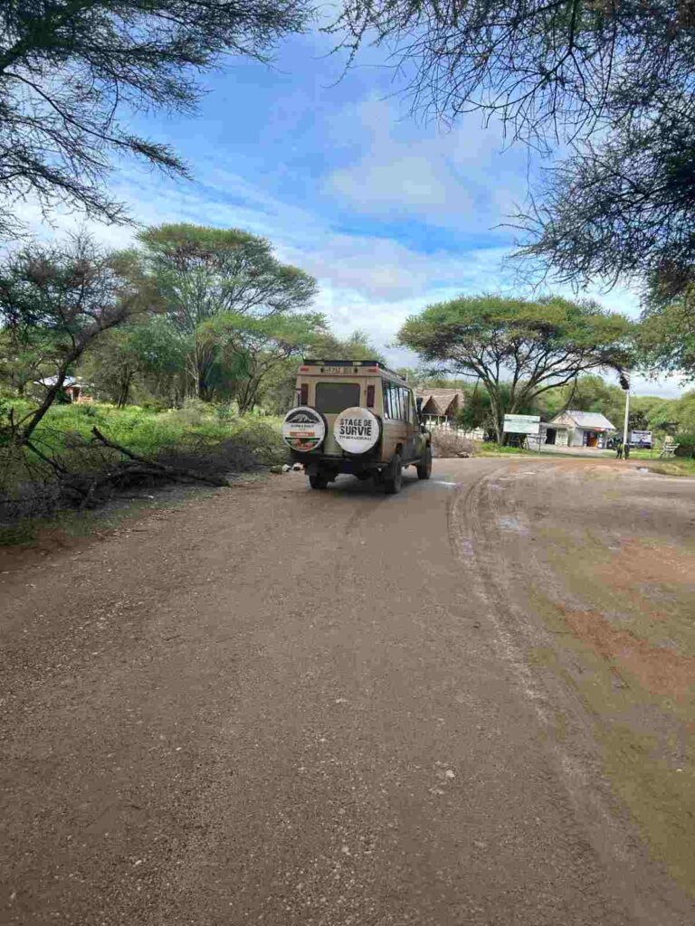 Lake manyara safari