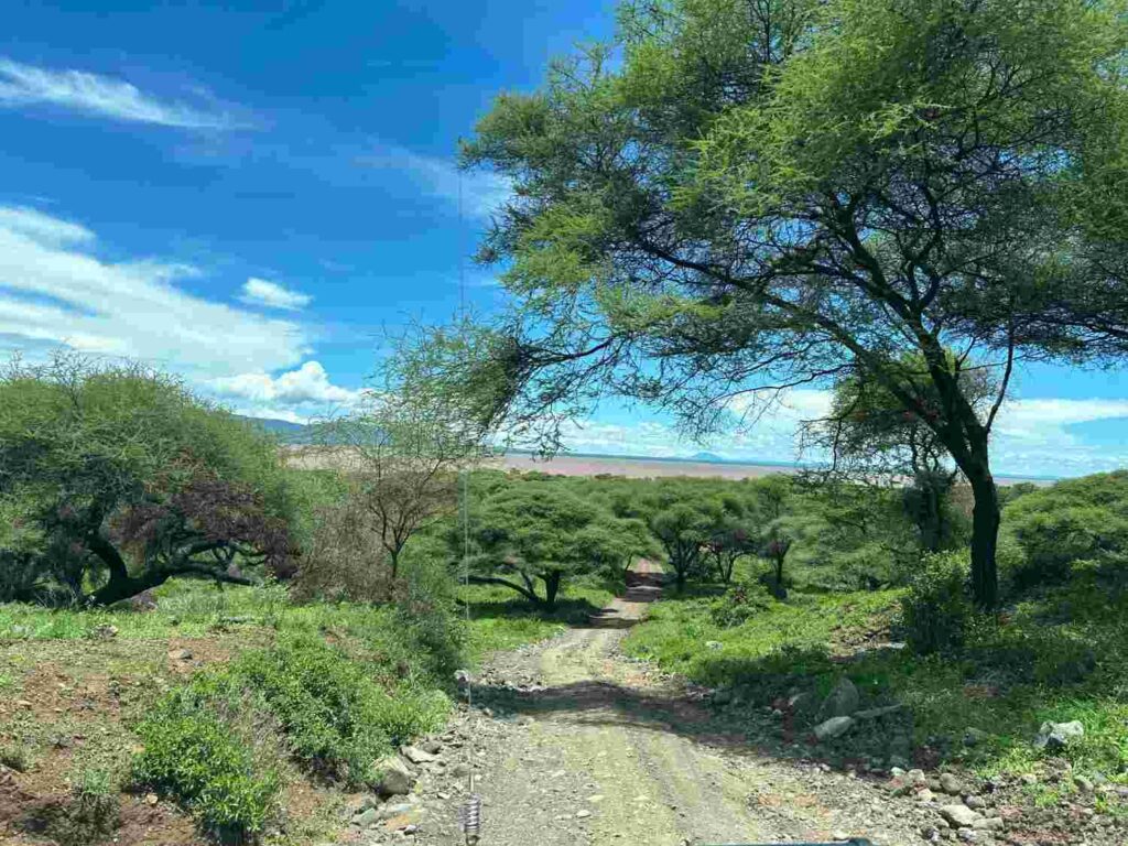 Lake Manyara National Park