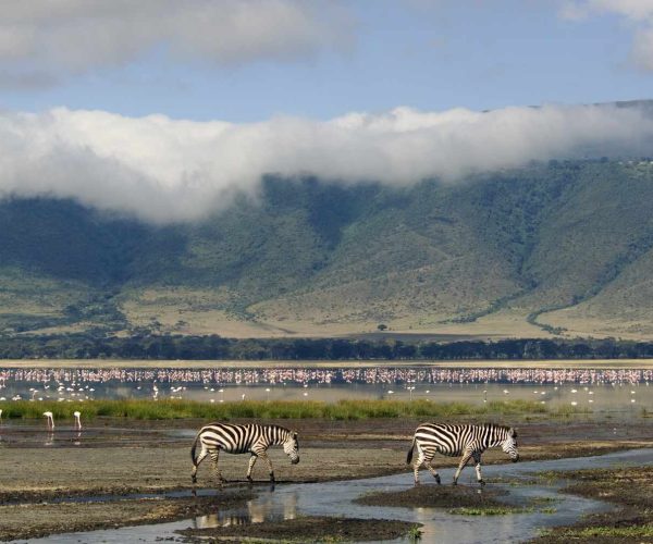 Ngorongoro-Crater-floor