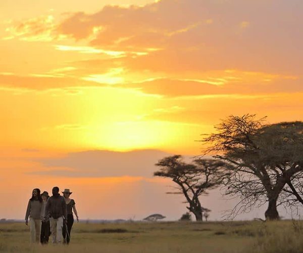 bush-walk-serengeti-national-park-small